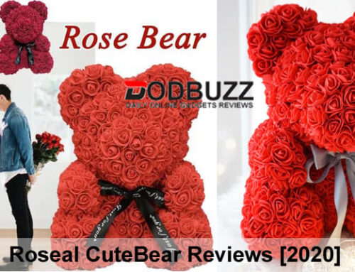Roseal Cutebear Review – Romantic Rose Bear Will